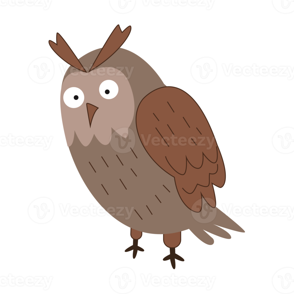 cute owl bird in illustration character png