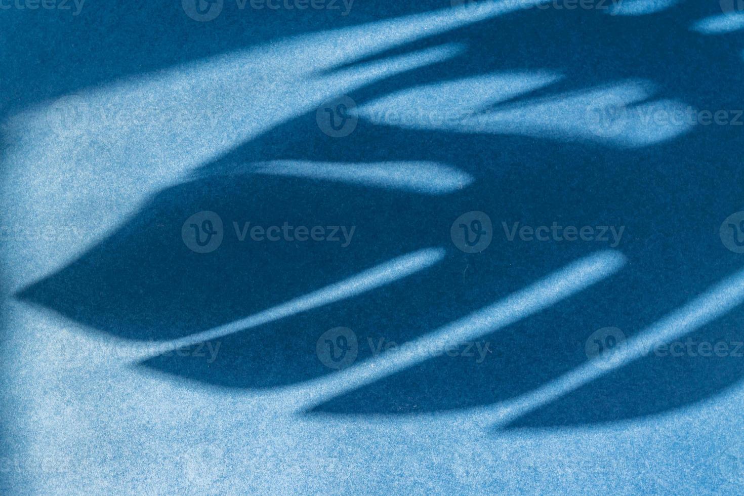 tropical monstera leaf shadow on empty blue surface background photo