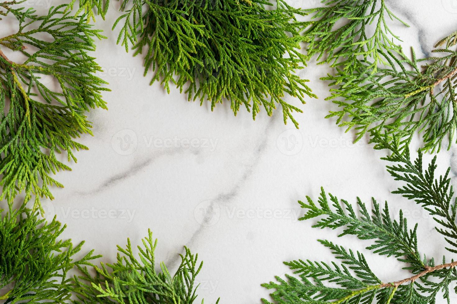 Frame made of white cedar thuja branches on white marble background, flat lay. Mockup card with copy space. photo