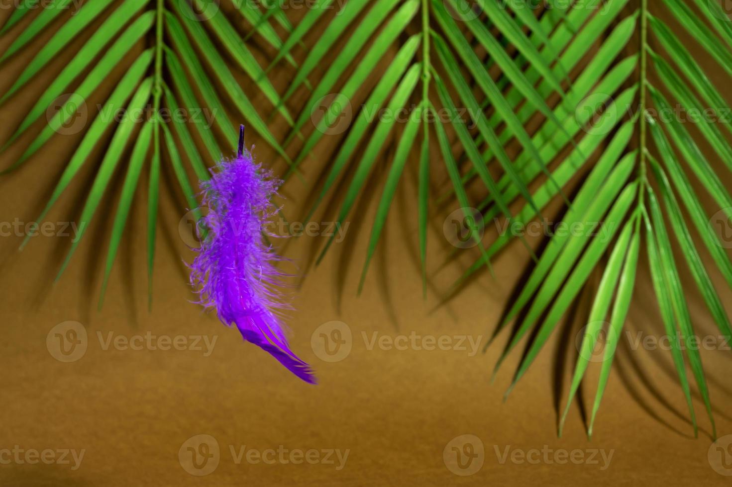 Trendy concept - purple feather levitation over wooden cube on brown background. Geometric shape and fluffy neon feather. photo