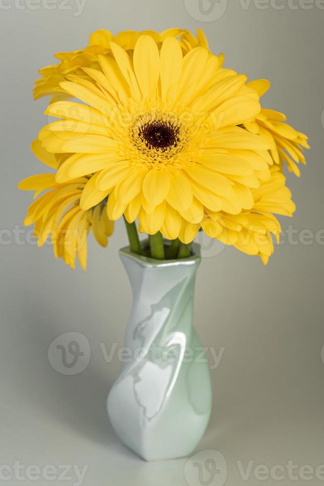 Demonstrating trendy colors 2021 - Gray and Yellow. Beautiful gerbera flowers on grey background photo