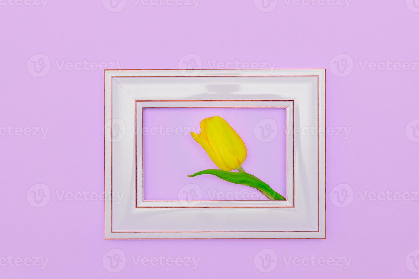Beautiful tulip flowerin pink photo frame, peach background. Spring and Easter Frame Concept. Flat lay. Blank Space