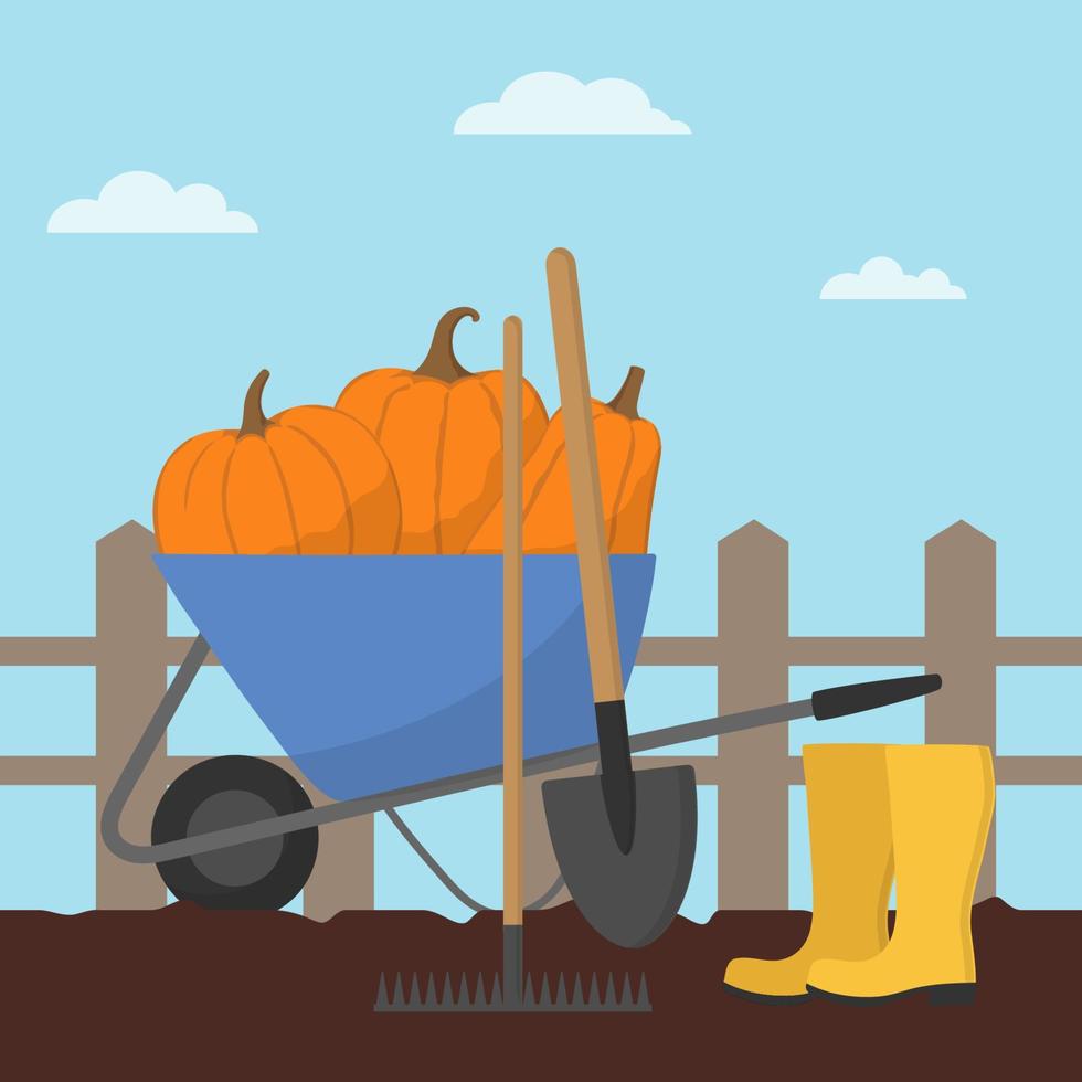 Garden harvest with pumpkins and gardening equipment. Blue wheelbarrow, rubber boots, rake and spade. Flat design. vector