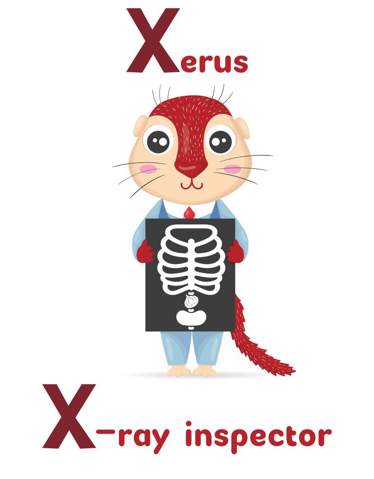 Latin alphabet ABC animal professions starting with letter x xerus x-ray inspector in cartoon style. vector