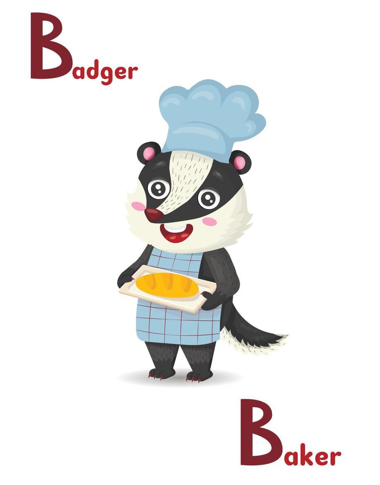 Latin alphabet ABC animal professions starting with b badger baker in cartoon style. vector