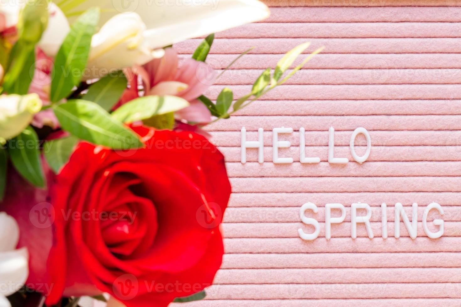 Spring concept. red rose on letterboard with quote Hello Spring over pink background. Top view with copy space for text. Flat lay. photo