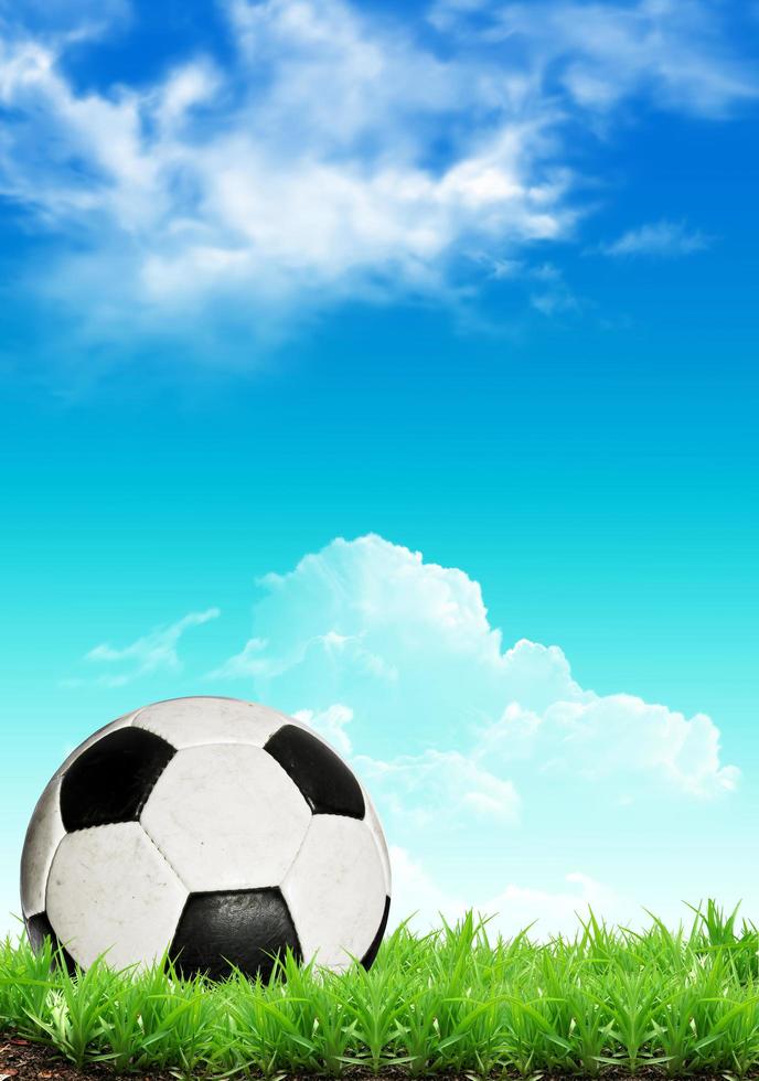 Green grass, the blue sky and white clouds photo