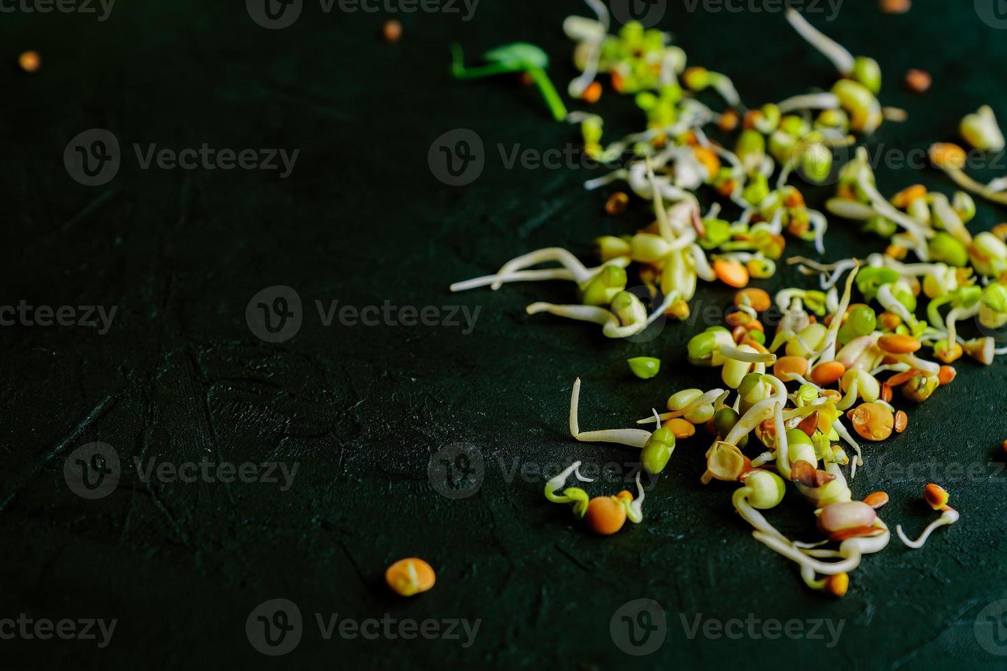 lentejas germinadas, frijoles, frijol mungo, guisantes, rábanos, lino, girasol sobre fondo negro. vegana, dieta de alimentos crudos foto