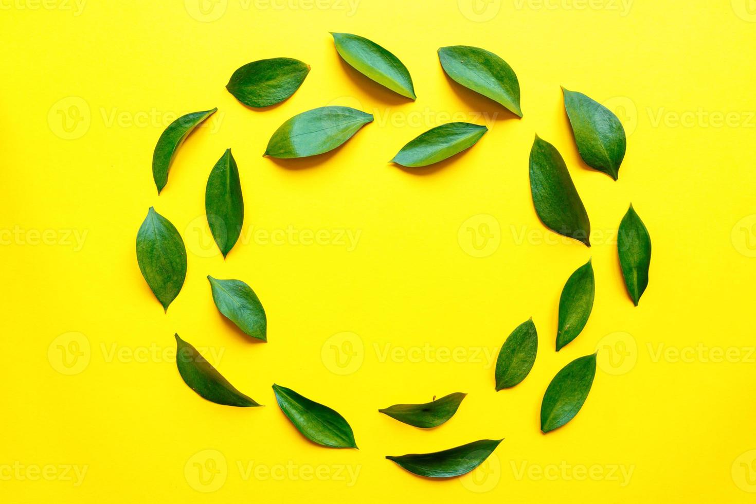 Green ruskus leaves top view frame with text space. Decorative greenery border. Fresh leaves on yellow background. Exotic foliage, tropical, rainforest plant backdrop photo