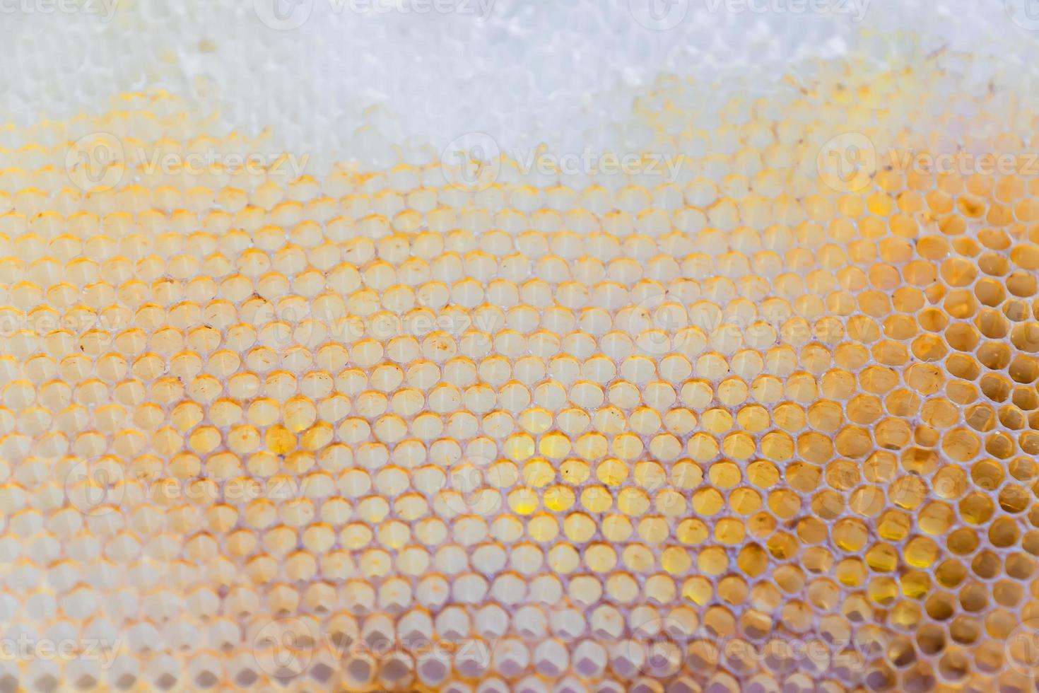 honey cpmbs natural background. Abandoned hive photo