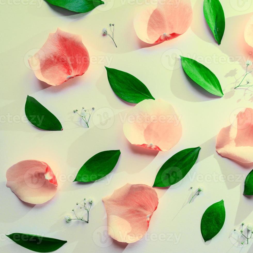 hojas verdes de ruscus, flores de gypsophila y pétalos de rosa sobre fondo blanco. puesta plana de primavera brillante. en plena floración, sombras de moda foto