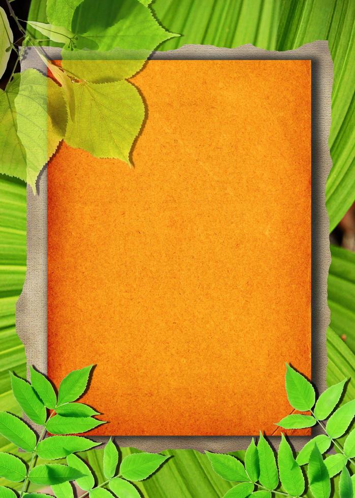 Old paper background with green leaves photo