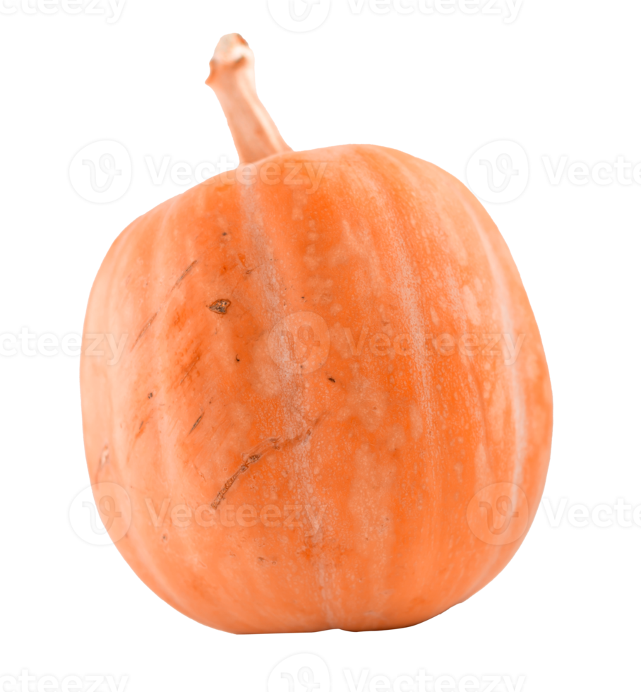 autunno zucca isolato png