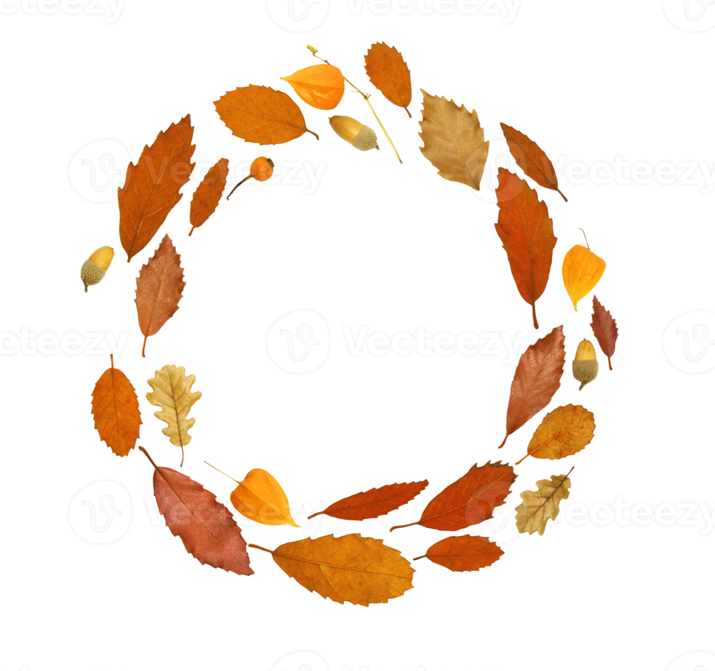 autumn leaf frame circle border png