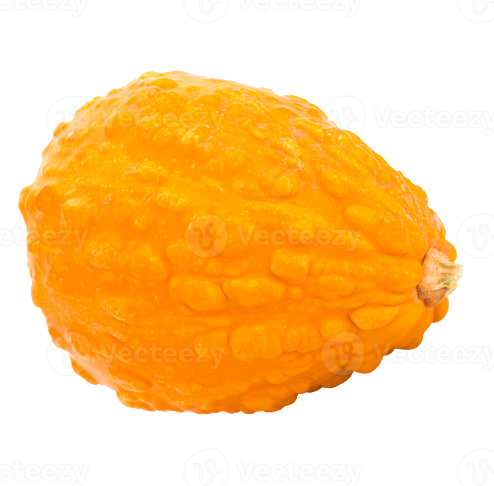 orange isolerat Nej bakgrund png