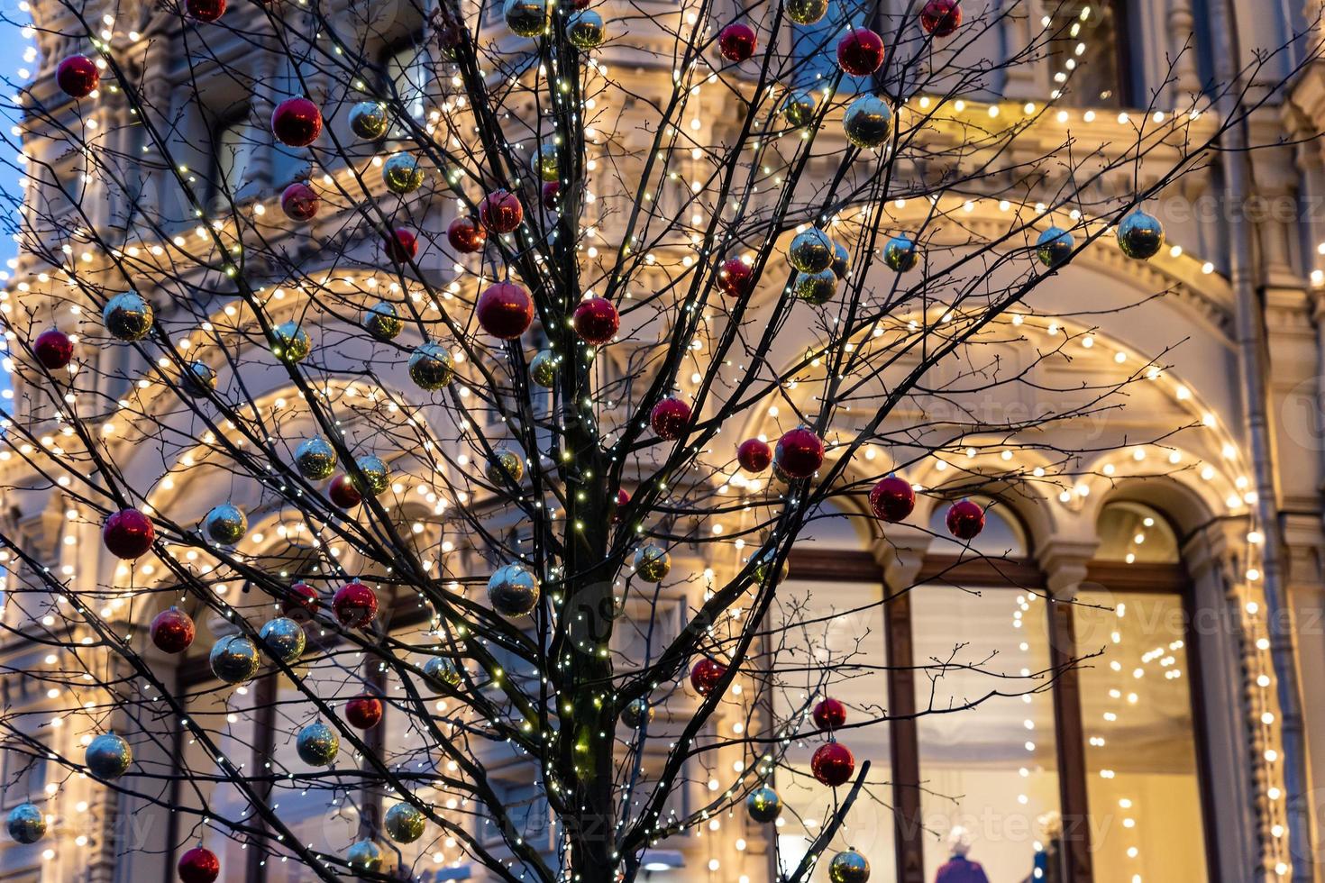 fondo de vacaciones de navidad y año nuevo. árbol sin hojas decorado con bolas rojas y doradas. foto