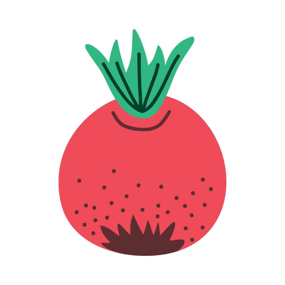 fresh beet vegetable vector