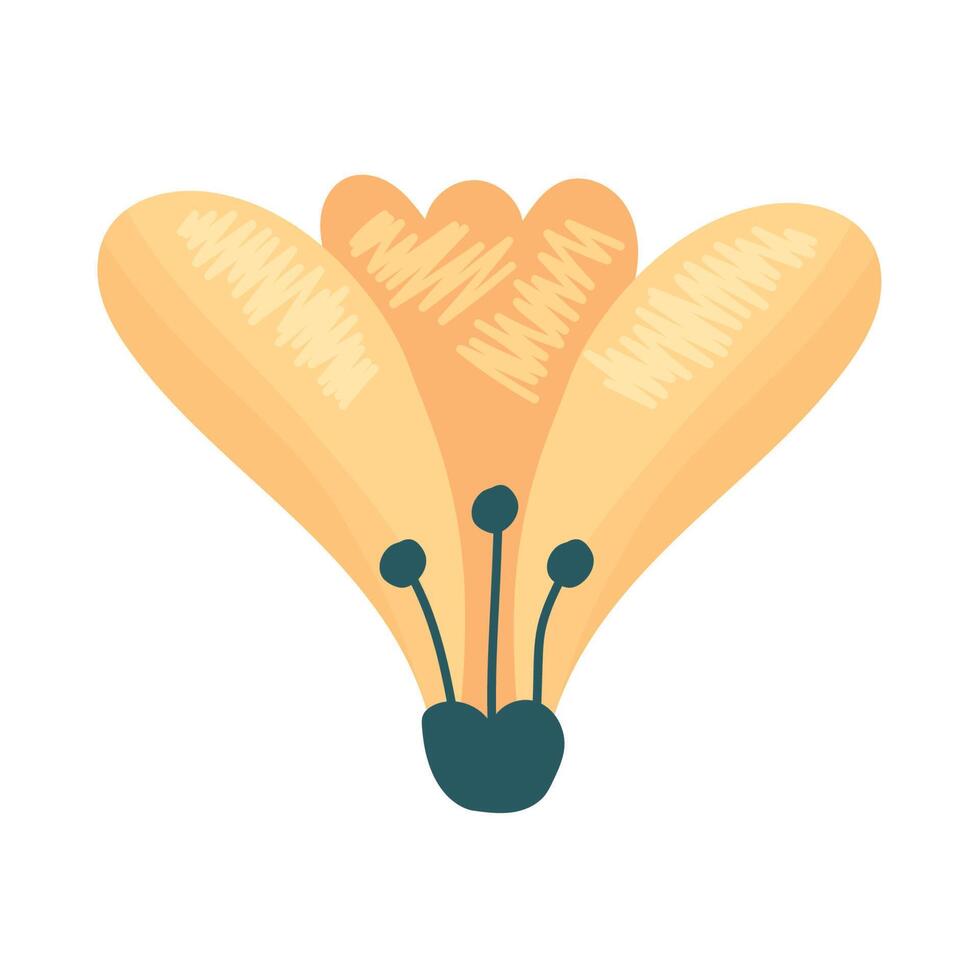 yellow spring flower vector