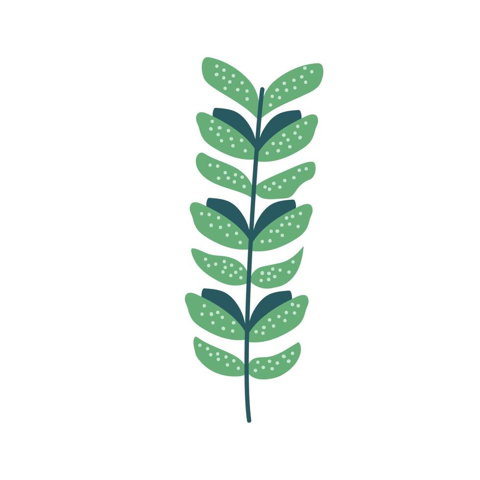 branch with leafs vector