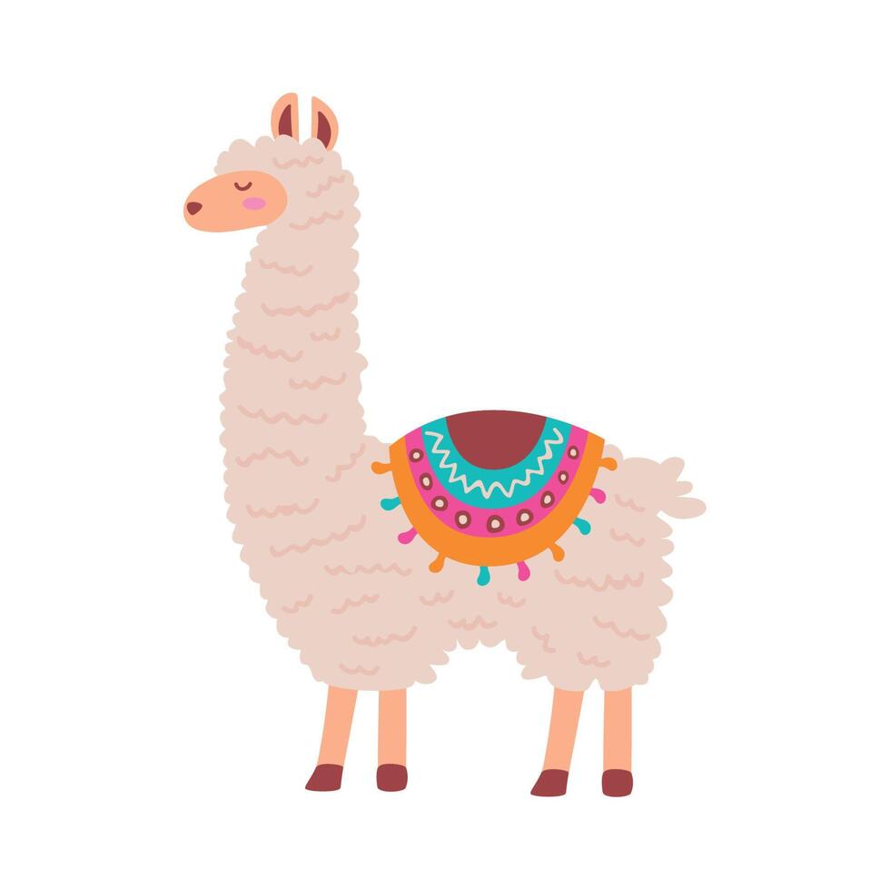 cute llama standing vector