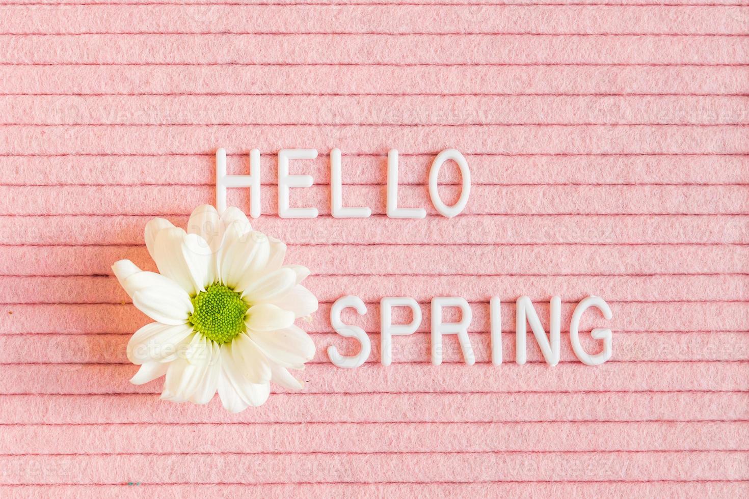 texto hola primavera en letra de fieltro rosa jabalí con flor blanca de crisantemo foto