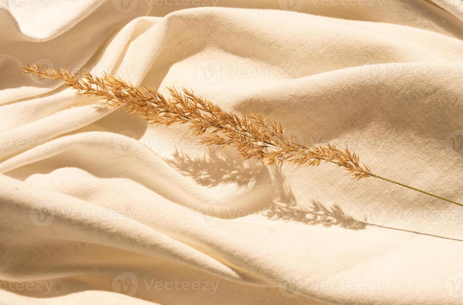 Natural dried reed flower with leaves on textured white linen textile material. Textile flat lay background with dried flower arrangement and copy space. Organic design. Pastel colors photo