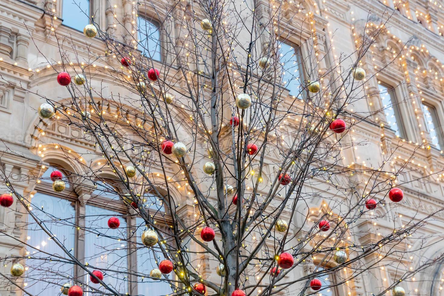 Christmas and New Year holidays background. tree without leaves decorated with red and gold balls. photo