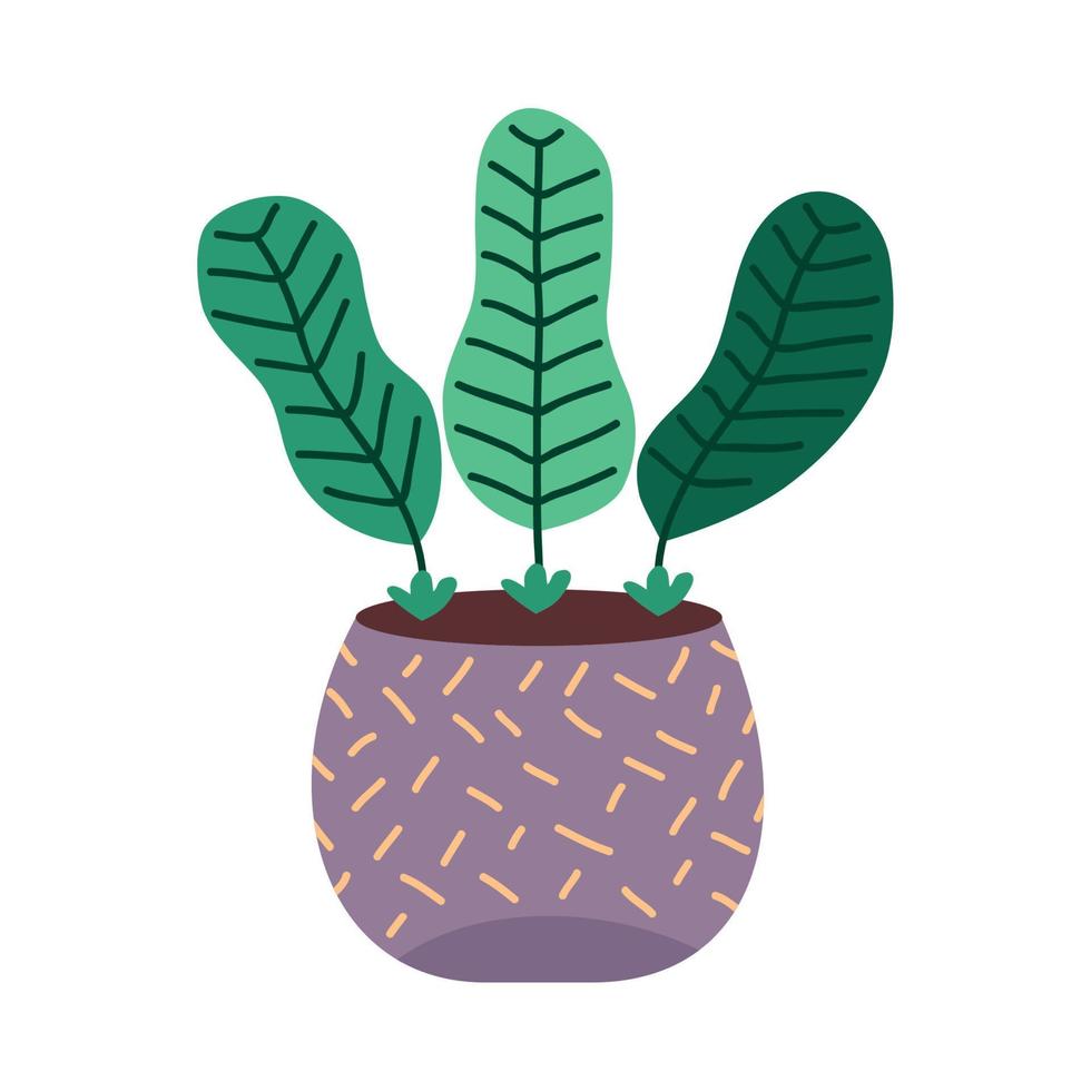 houseplant in purple pot 11034655 Vector Art at Vecteezy