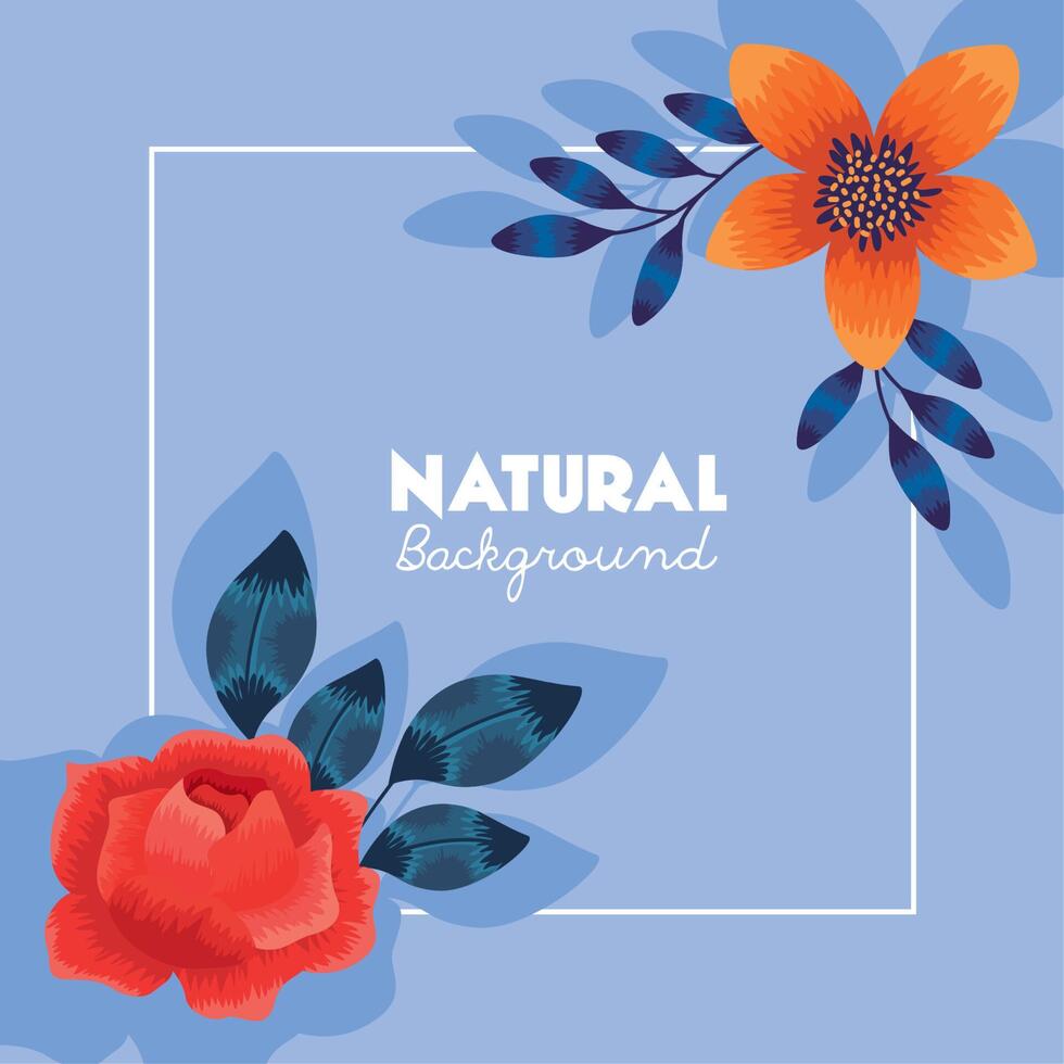 natural background lettering frame vector