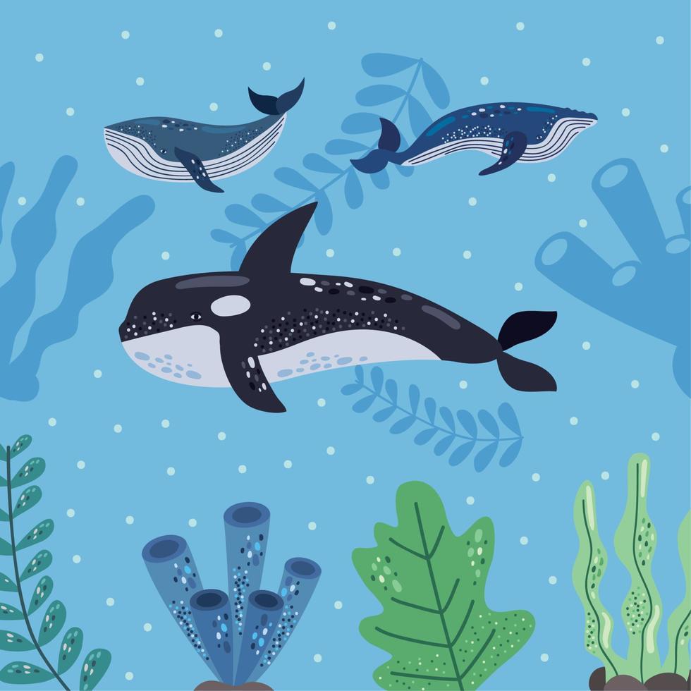 tres ballenas y vida marina vector