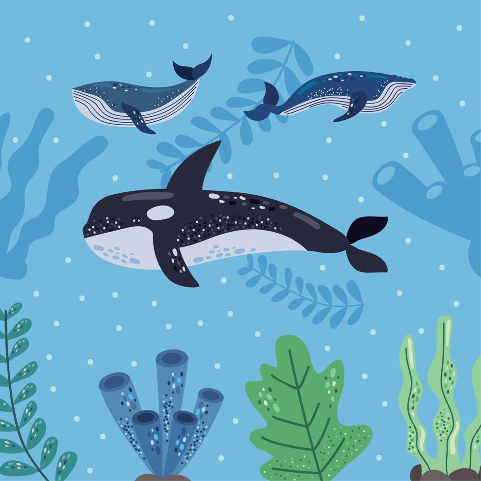 three whales and sealife vector