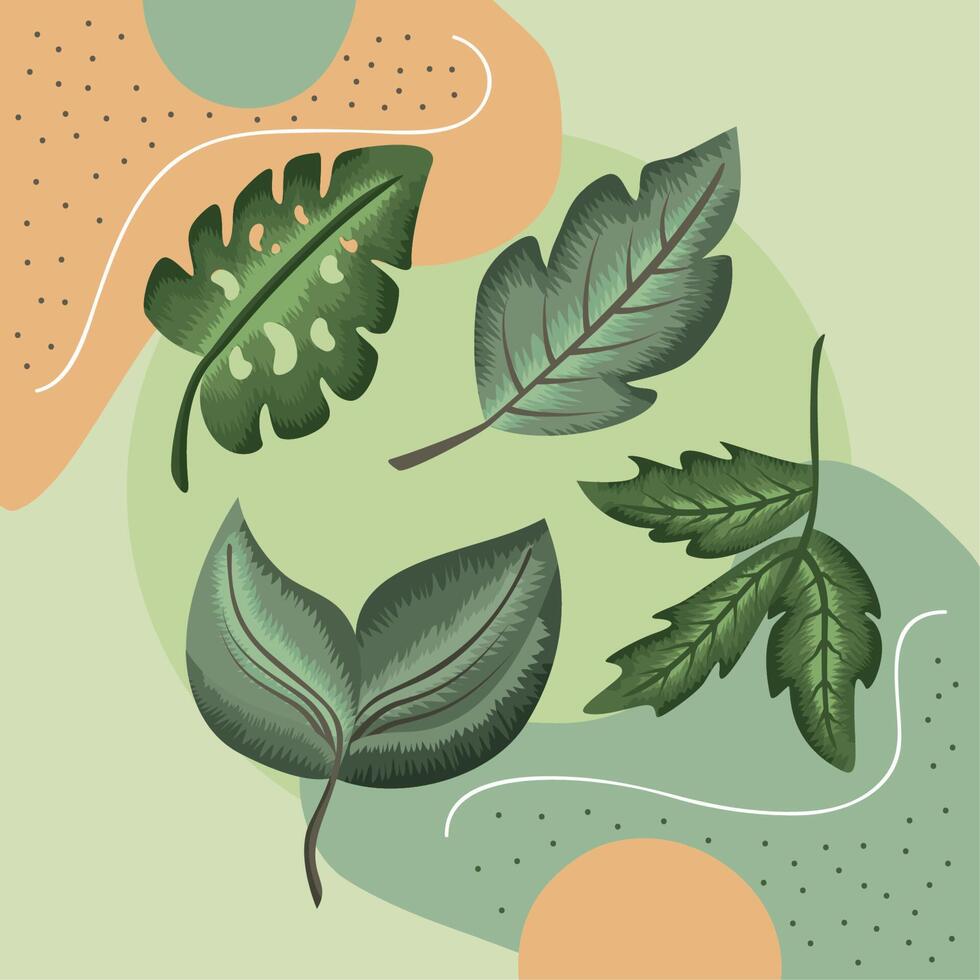 four leafs plants nature vector