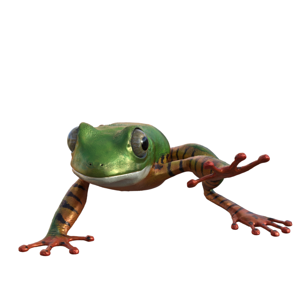 Frog 3d model illustration png