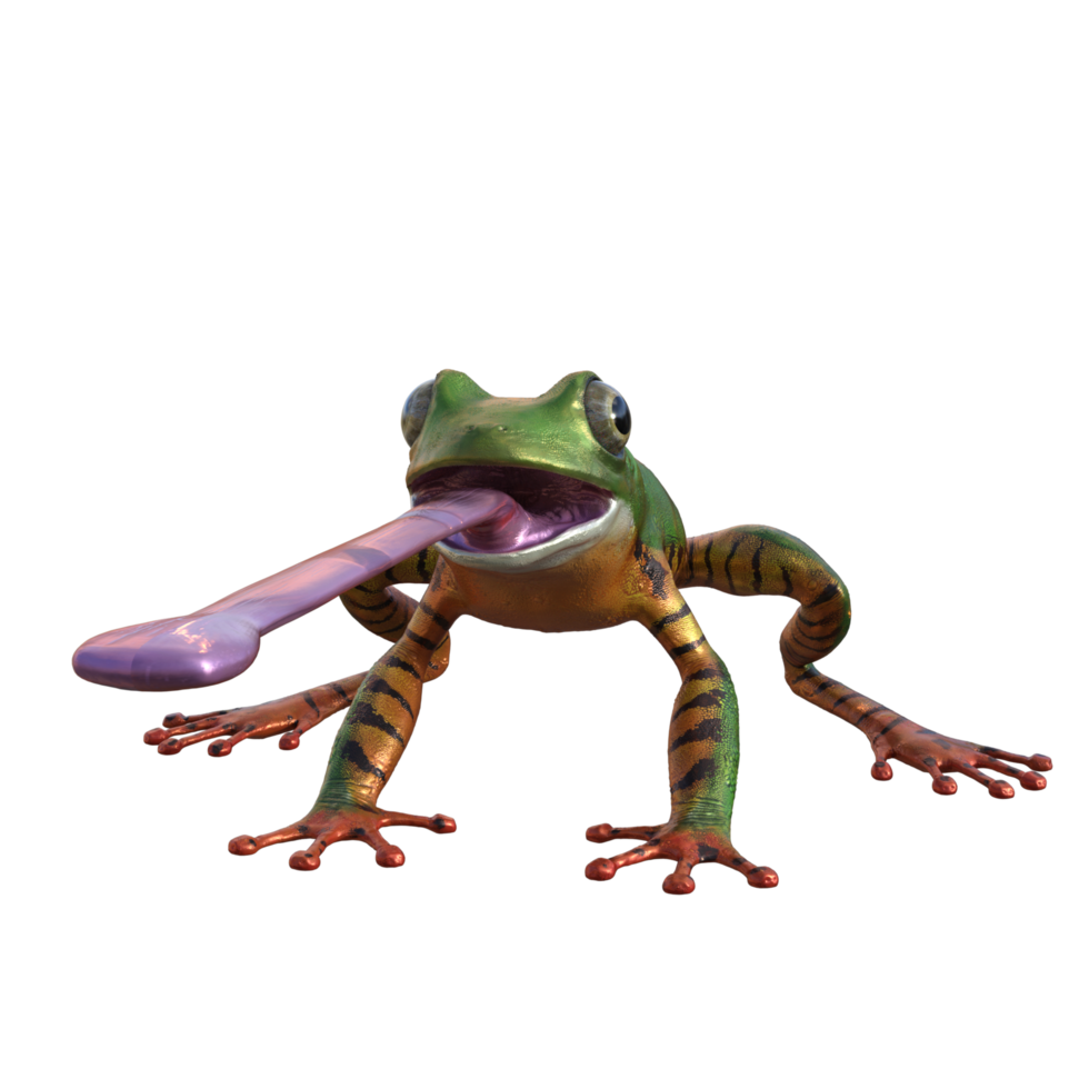 Frog 3d model illustration png