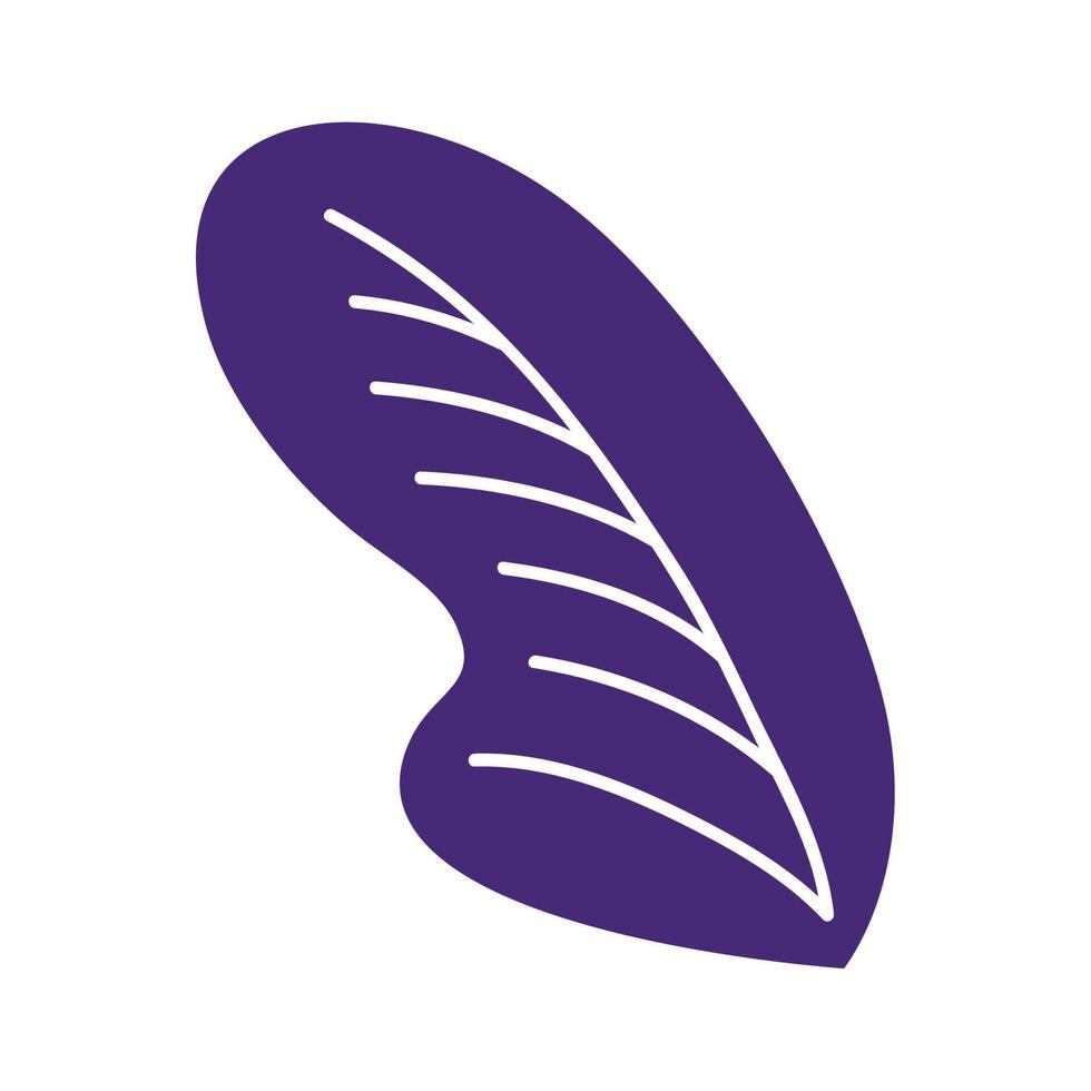 purple leaf plant 11035246 Vector Art at Vecteezy