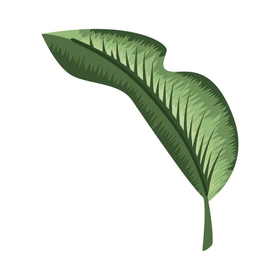 leaf plant folded vector