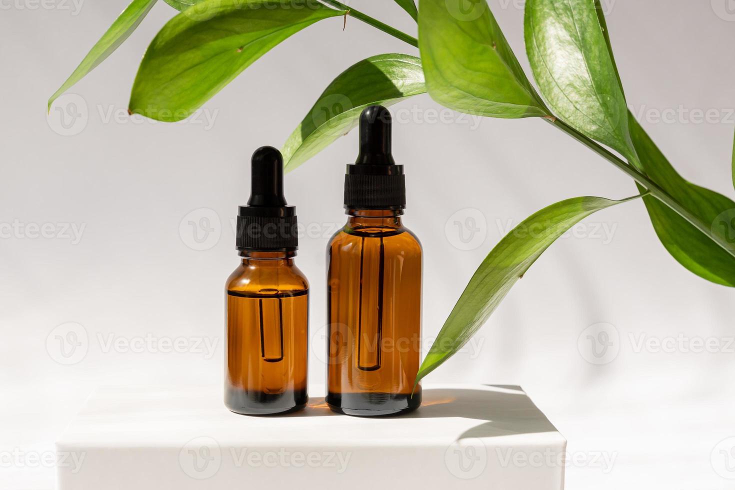 Amber cosmetic bottles with pipette on white podium, product packaging with natural ruscus branch, anti aging serum with peptides, cosmetics mockup, spa concept. photo