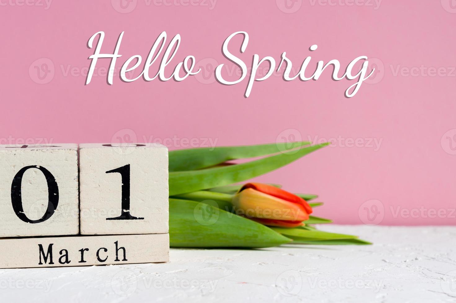 Hola primavera. calendario de madera y tulipanes rojos sobre fondo rosa. foto