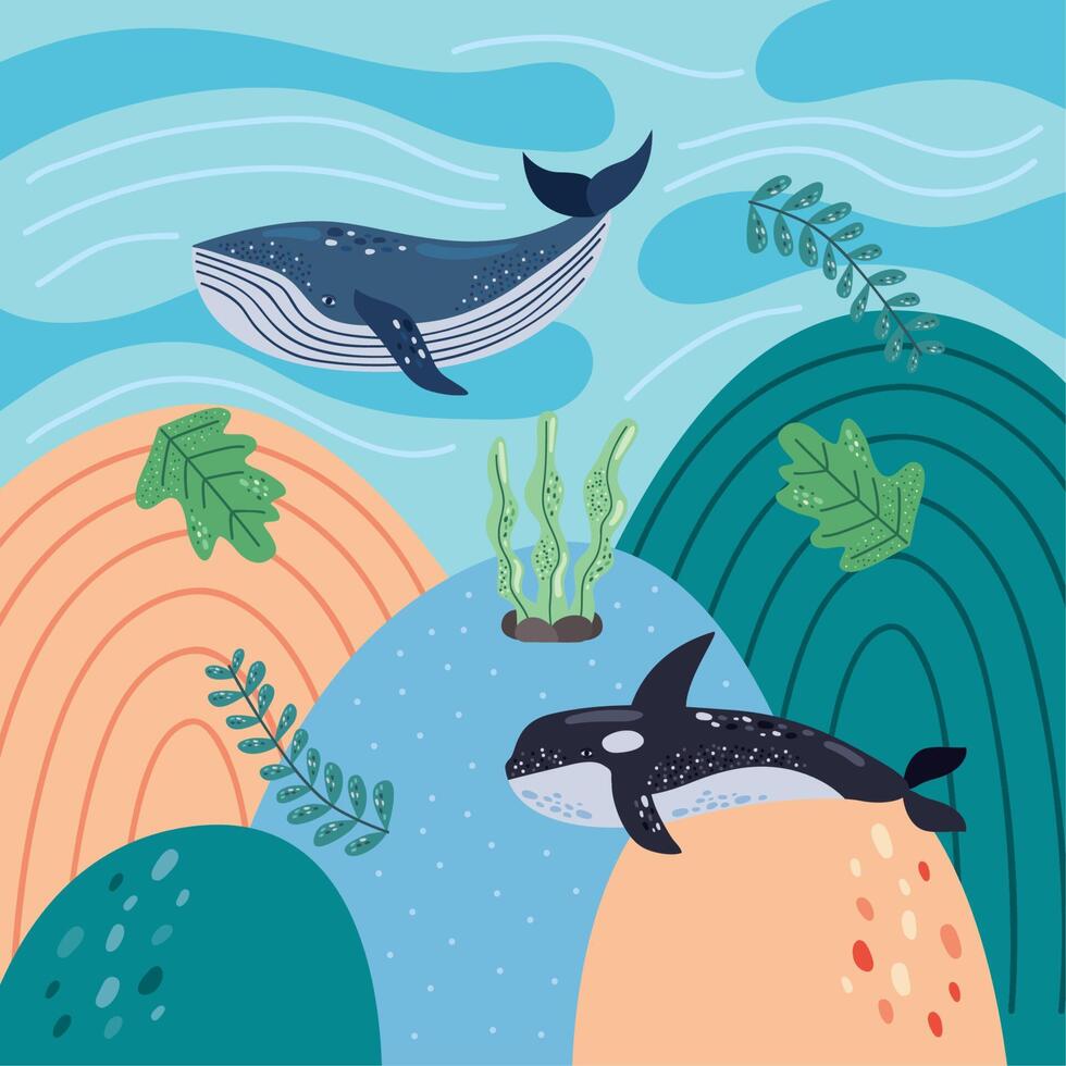 two whales undersea vector