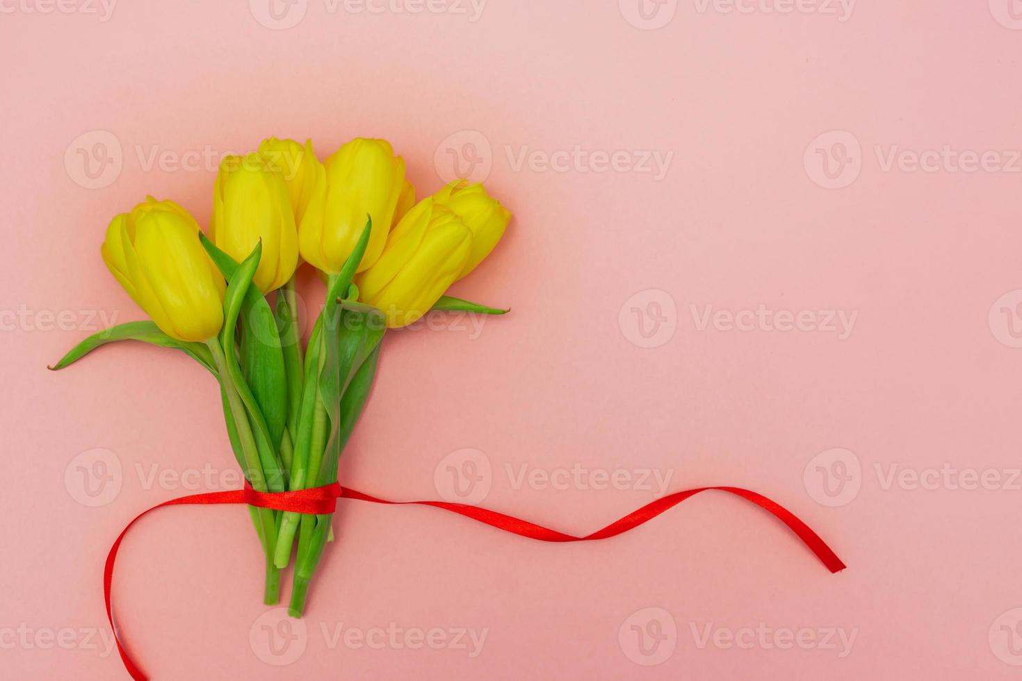 Bunch of yellow tulips with red ribbon on pink background. Festive layout. Copy space for text. Greeting card for holidays photo