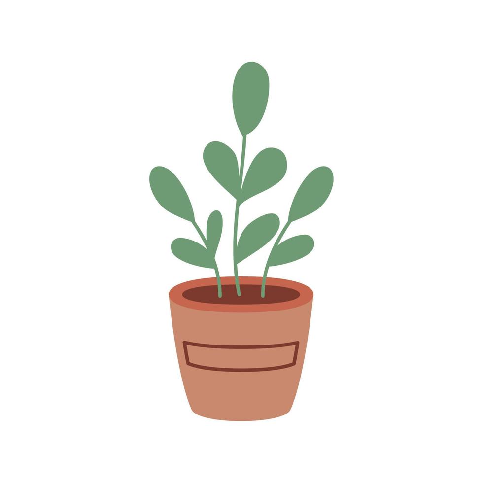 houseplant in pot vector