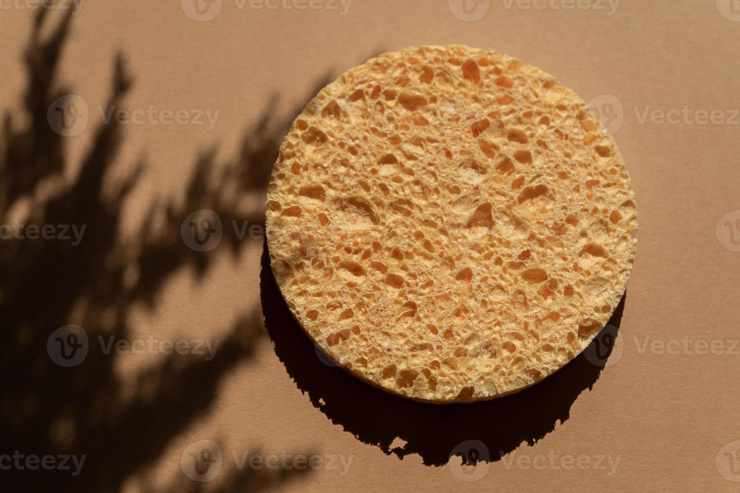 close up of natural round cellulose sponge for face cleansing and make up remowal with trendy plant shadows. photo