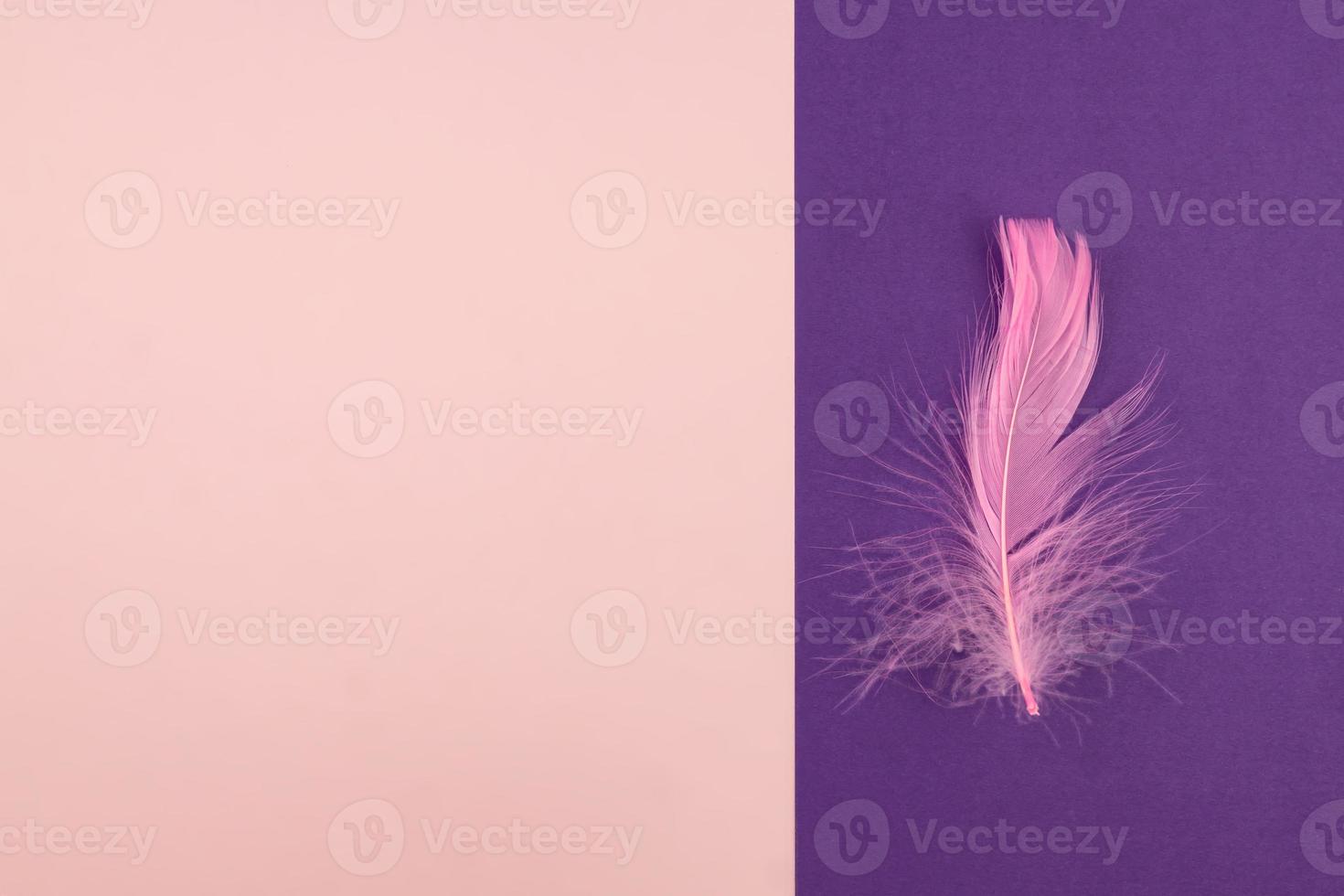 Abstract geometric paper background of pastel pink and purple colors with violet feather. Copy space for design photo