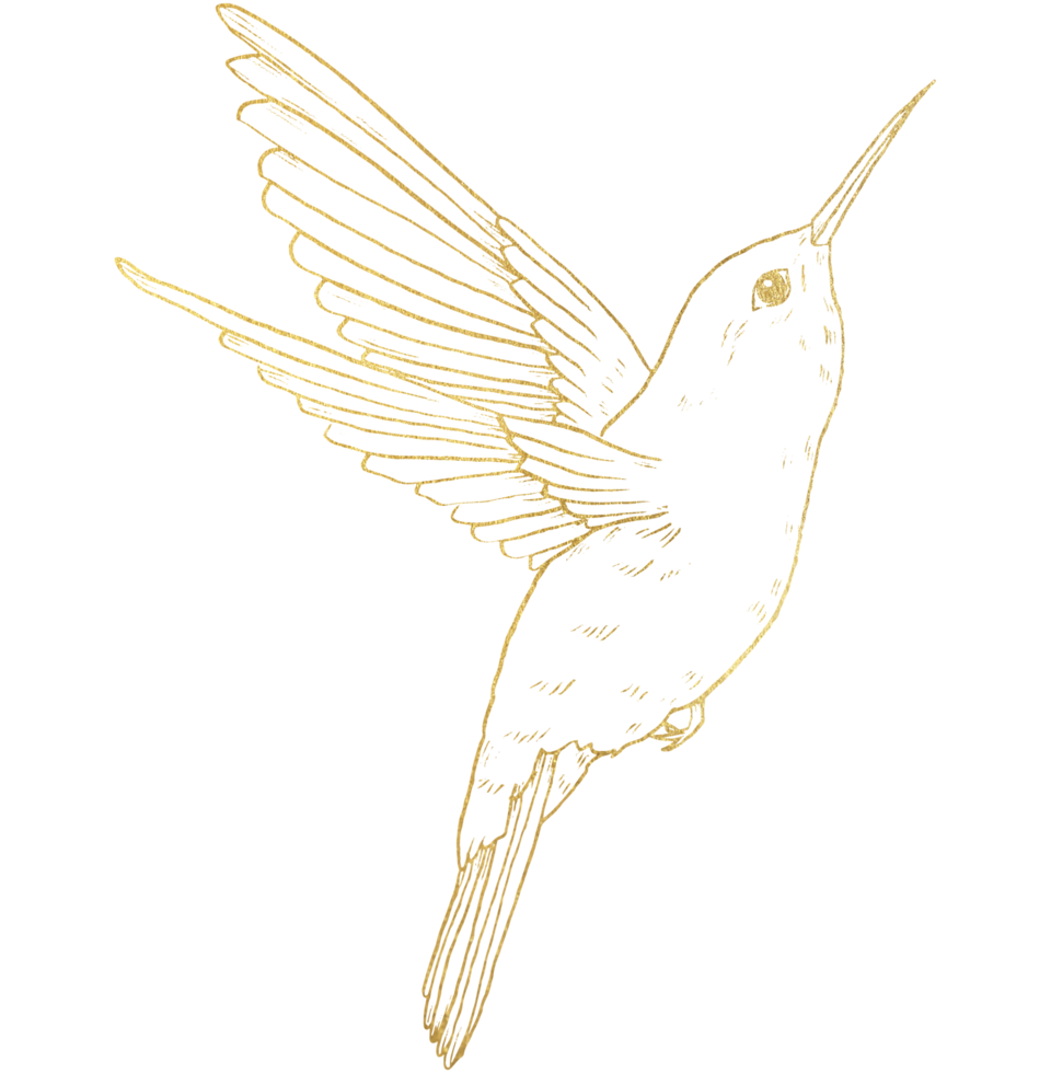 Bird with gold line art png