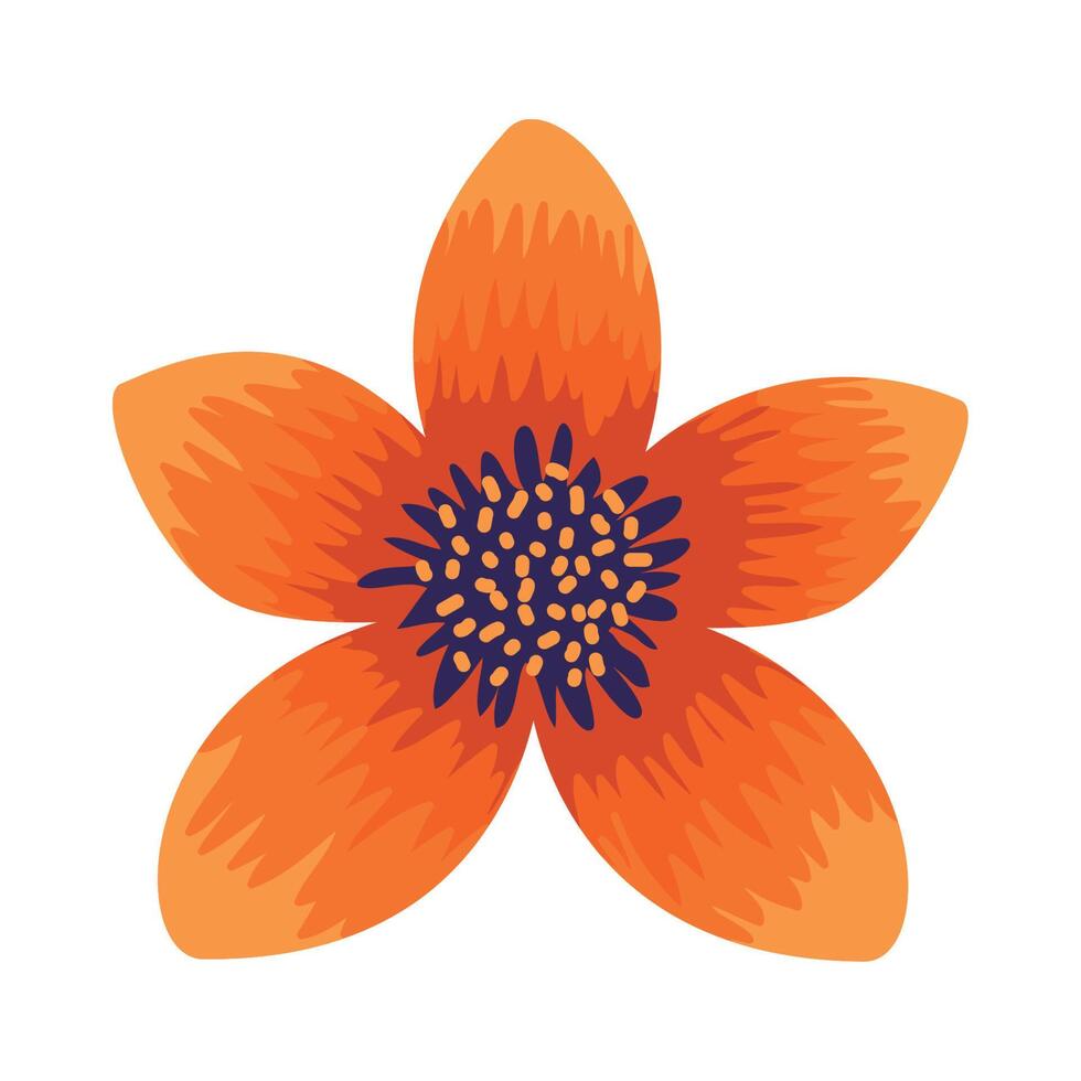 orange natural flower vector