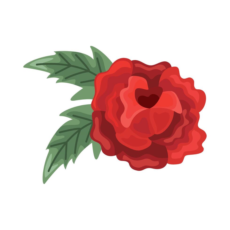 red rose flower and leafs vector