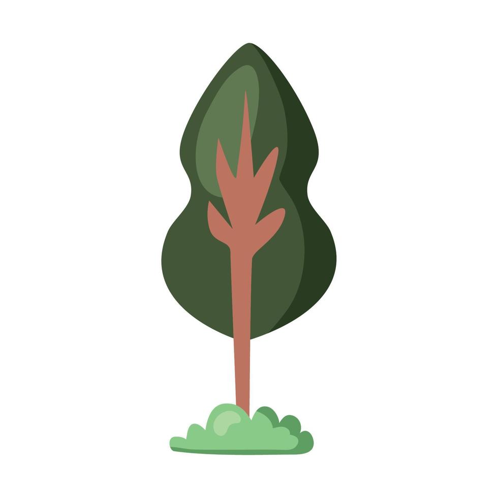pine tree plant vector
