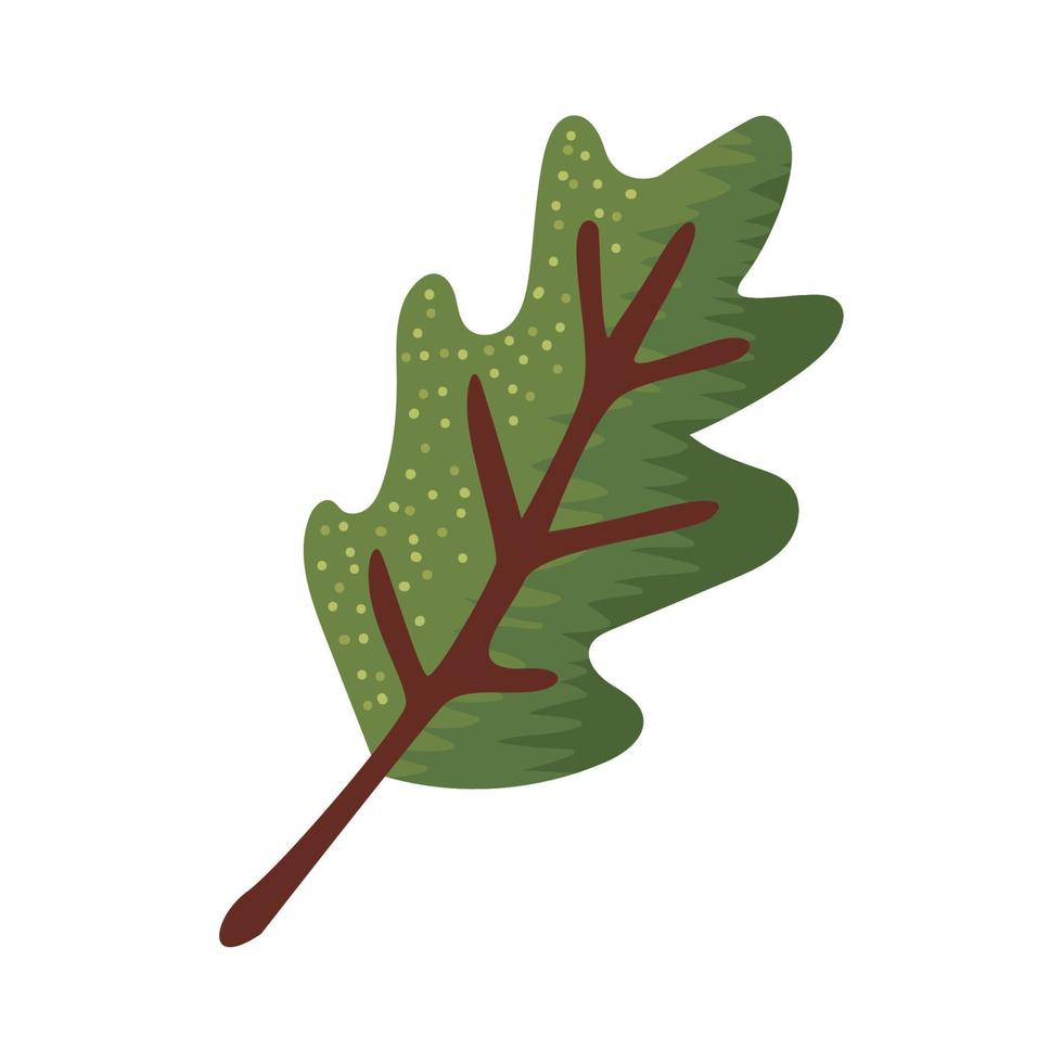 autumn green leaf vector