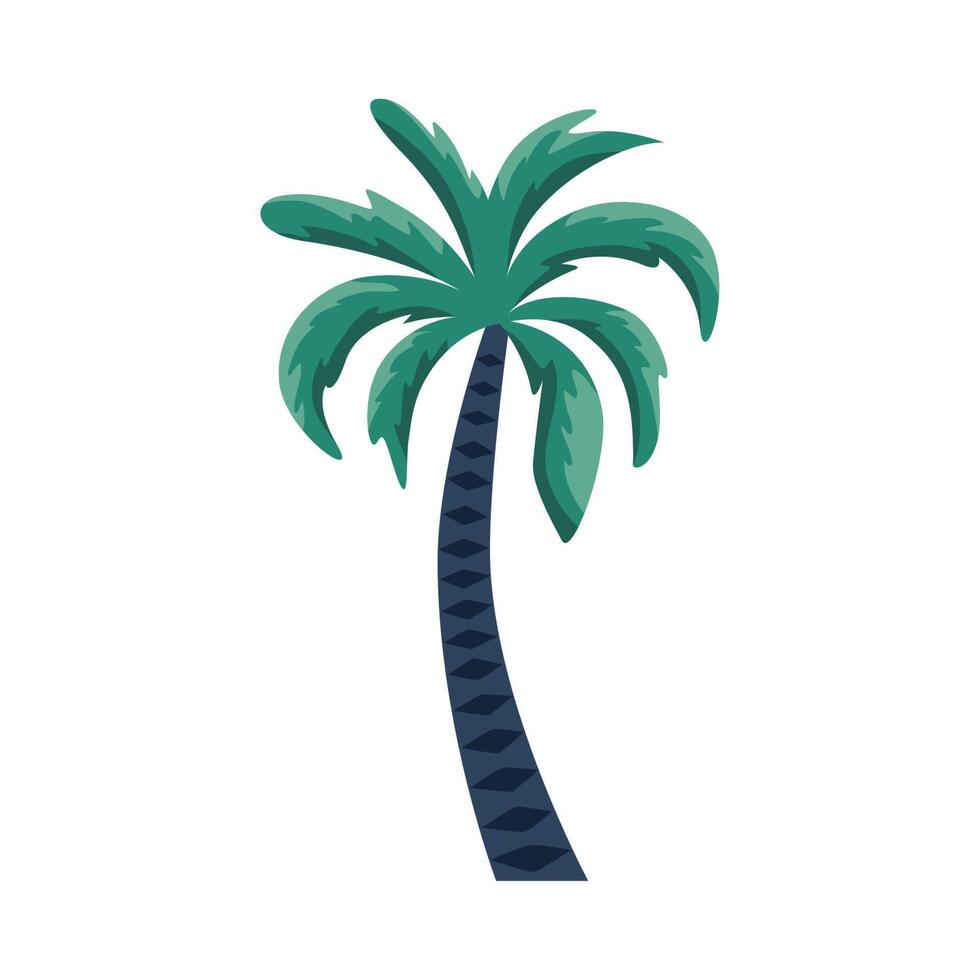 summer tree palm vector