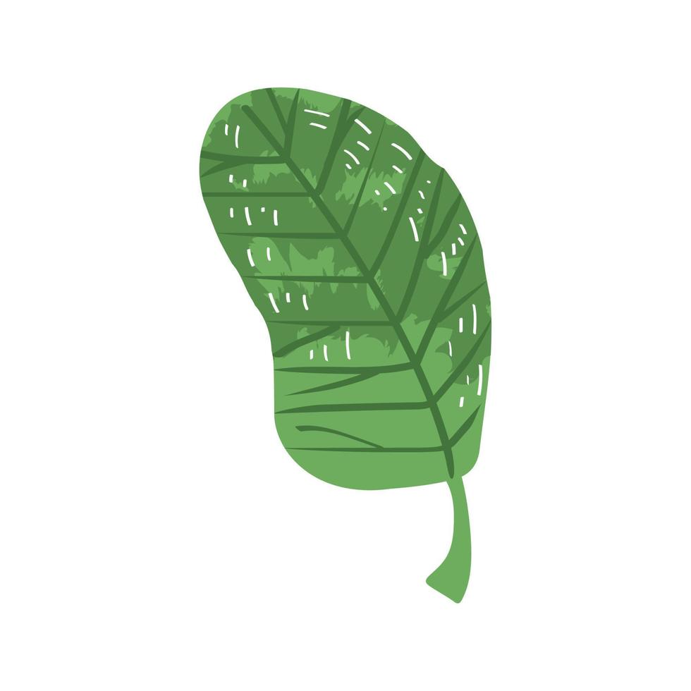 green leaf plant vector